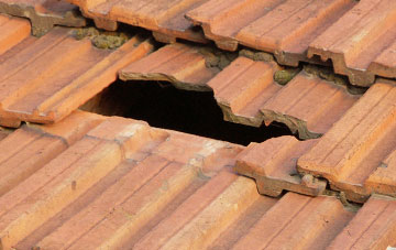 roof repair Chapelgate, Lincolnshire